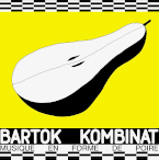 BARTOK KOMBINAT - musique en forme de poire
